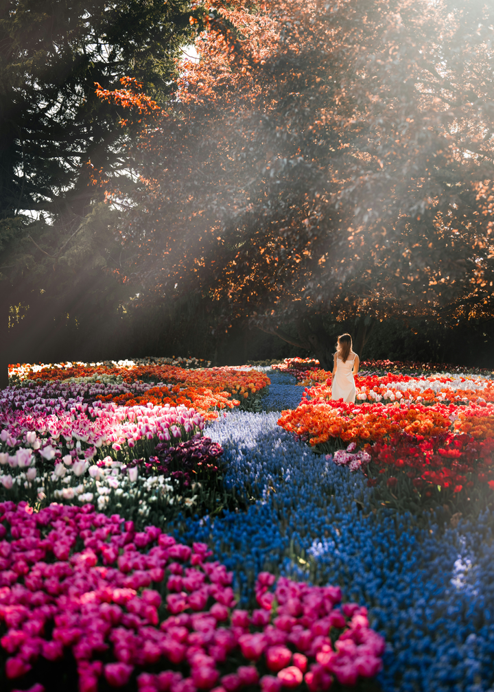 10 Places to See Beautiful Blooms Over The Easter Long Weekend