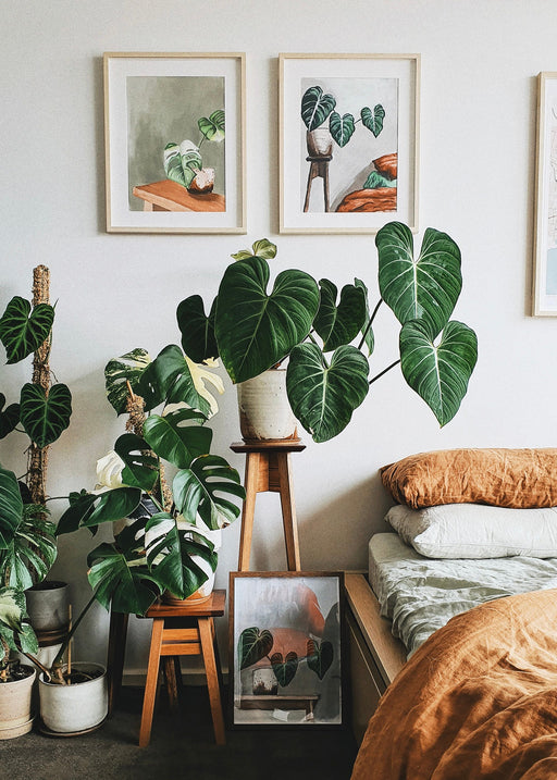 How to Propagate Plants to Transform Your Home Into an Indoor Jungle