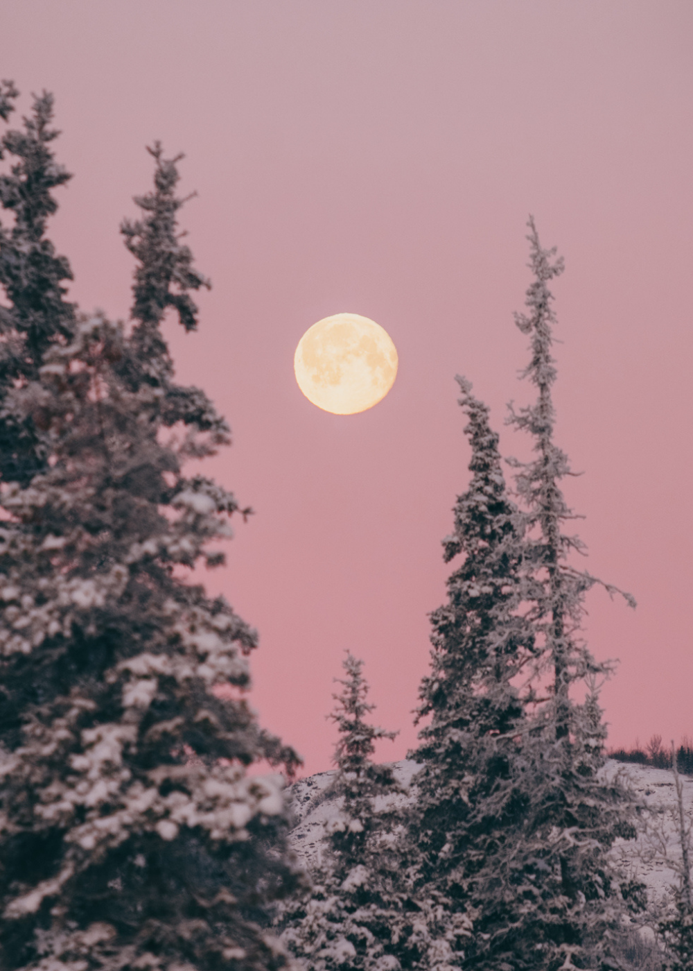 Super Flower Blood Moon 2021: Full Guide to the Total Lunar Eclipse ...