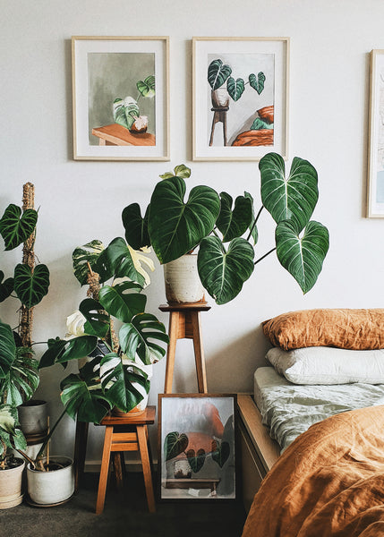 The Secret to Growing a Thriving Indoor Jungle