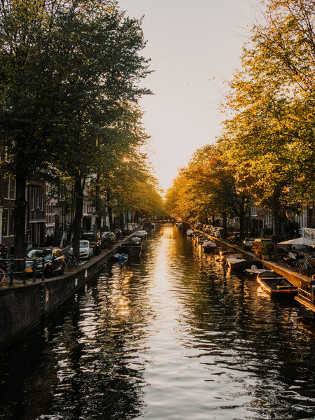 Out Of Bed: The Insider’s Guide To Amsterdam