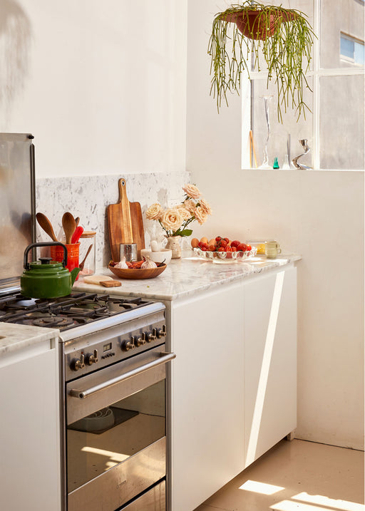 Kitchen Decorating for Renters