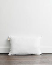 The Classic Standard Pillow Insert - view