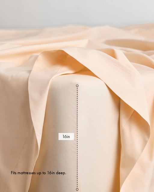 Vanilla 100% Organic Cotton Percale Fitted Sheet