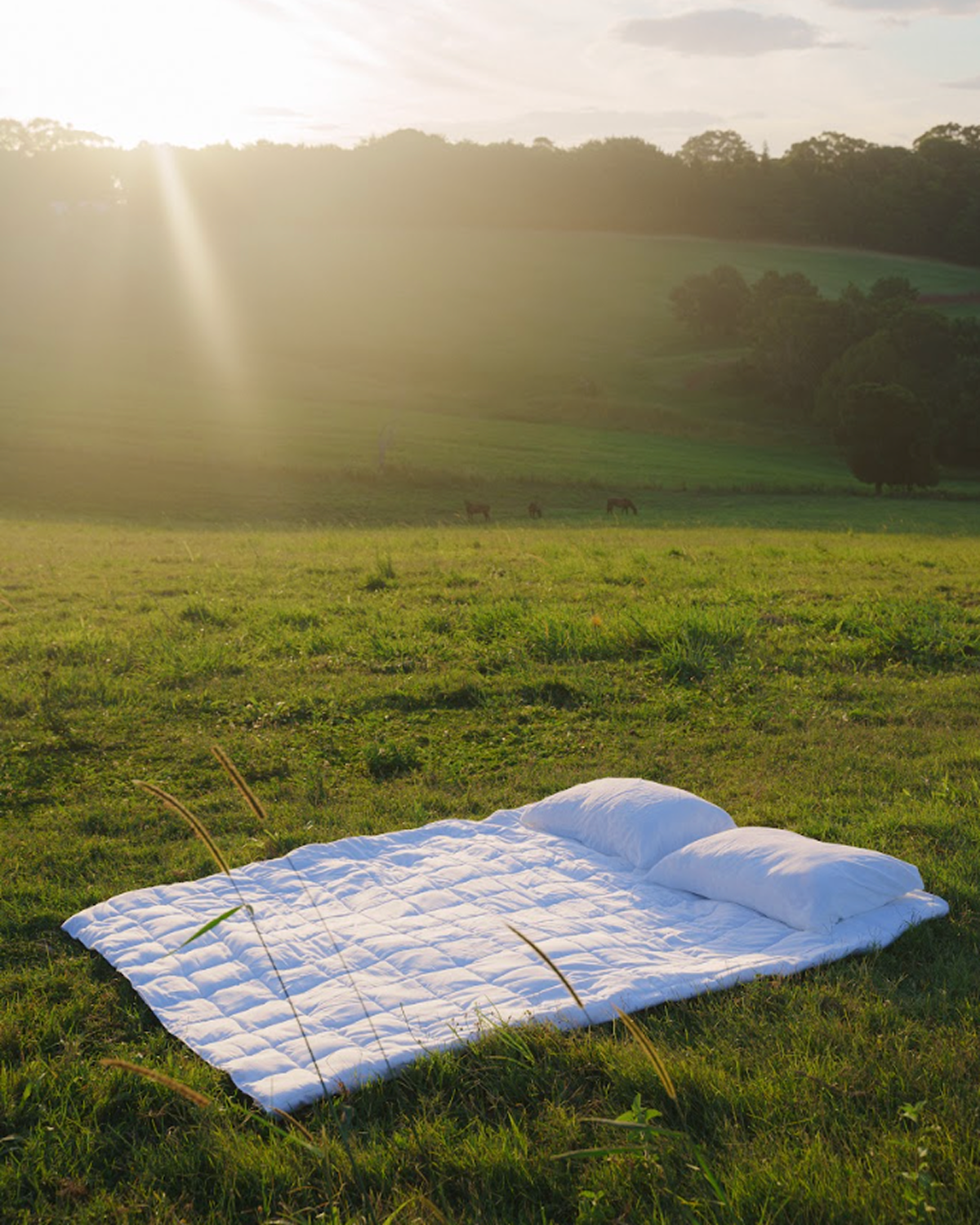 Does-It-All Duvet Insert – Bed Threads