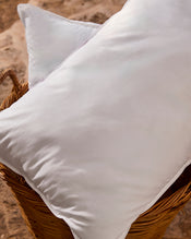 The Classic Standard Pillow Insert - view